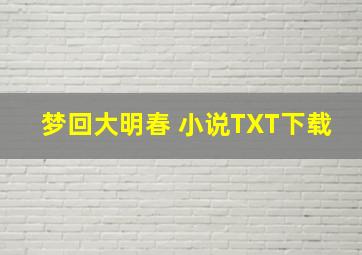 梦回大明春 小说TXT下载